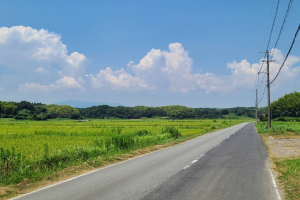 農道 農道