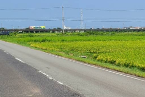 電車と農道 電車と農道